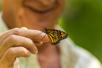 Fototapeta na wymiar butterfly on hand