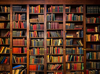 Books on Shelves in Library or Study with Classic Dark Wood - Powered by Adobe