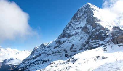 Eiger Northface 