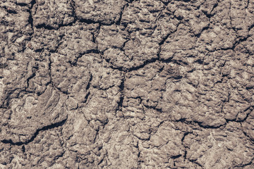Grey dried and cracked ground earth background. Closeup of dry fissure dark ground. Gray crack on earth texture. erosion.