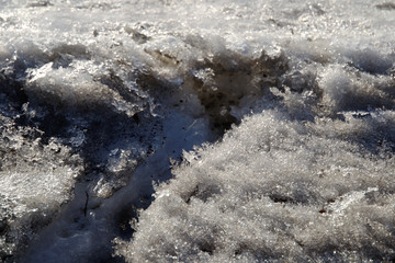 melting snow on a spring sunny day.