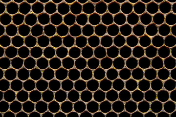 Black honeycombs on bee frame