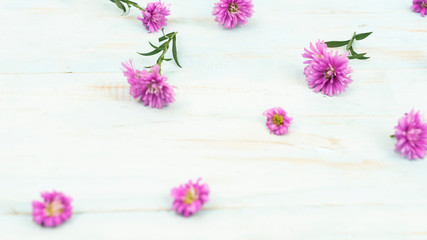 Purple gerbera flowers on wooden background