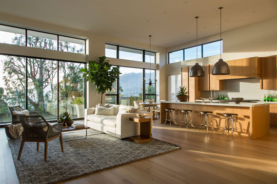 modern living room and kitchen