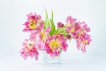 View of a glass rectangular vase with a bouquet of pink tulips on a white background. Concept background, flowers, holiday.