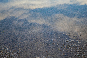 Reflection and Texture