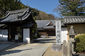 矢田寺
