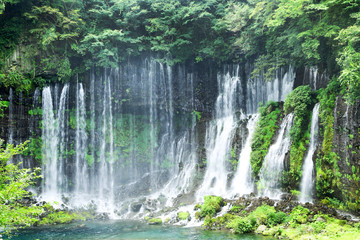 Fototapeta na wymiar 静岡　富士宮　白糸の滝