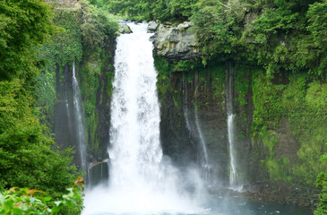 Fototapeta na wymiar 静岡県　富士宮　音止の滝