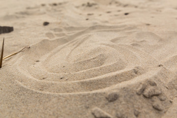 Fototapeta na wymiar Swirled Sand Mound on a Beach at Corolla North Carolina