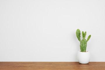 Indoor prickly pear cactus plant in a white pot. Side view on wood shelf against a white wall. Copy space.