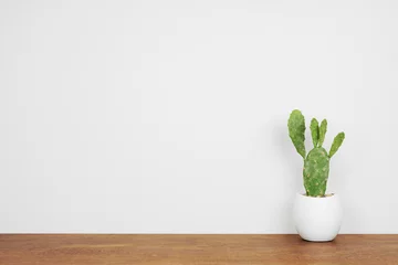 Foto auf Acrylglas Kakteenkaktus-Pflanze für den Innenbereich in einem weißen Topf. Seitenansicht auf Holzregal vor einer weißen Wand. Platz kopieren. © Jenifoto