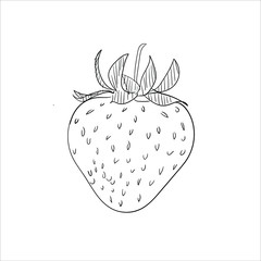 Fototapeta premium strawberry on a white background