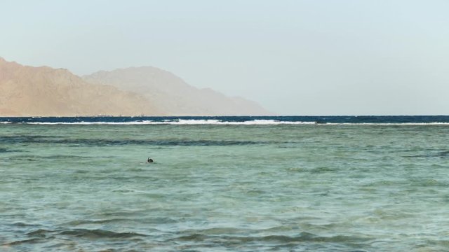 Man snorkeling in red sea, Beautiful landscape of blue sea and clear sky, waves in the sea and mountains on horizon Egypt, Dahab, slow motion, full hd