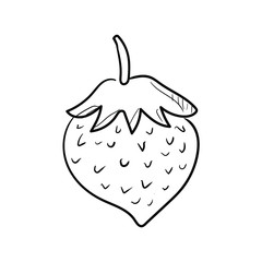 strawberry illustration hand drawn on a white background