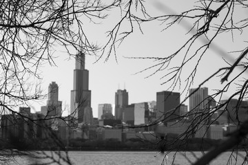 Chicago Skyline