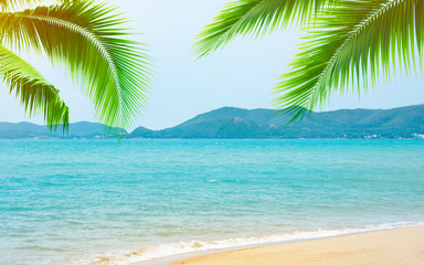 Obraz na płótnie Canvas tropical beach with coconut palm trees