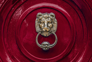 Traditional old solid brass lion head door knocker on a seamless dark red painted door.