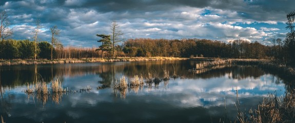 Staw lustrzane odbicie © Artur