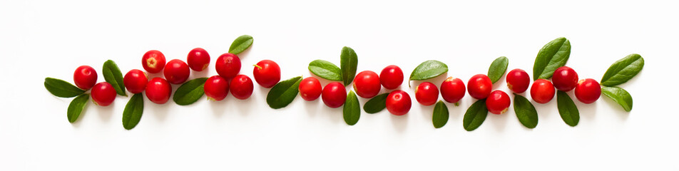 Panoramic border from fresh cowberry