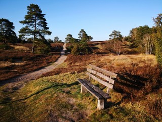 bench in the park