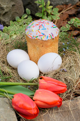 Easter cake decorated colored powder, white easter eggs lie in a nest of straw in outdoor. red tulips. Close up. No people. Concept of the Christian holiday of Holy Easter