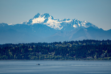 Boat sailing Puget Sound beneith Olympic Mountains