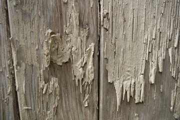 old painted wood texture