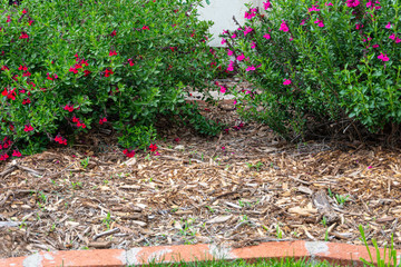 mulch garden bed