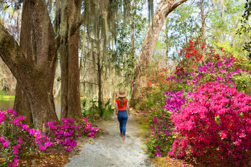 Fototapeta premium Girl walking alone in beautiful garden on spring trip. Young woman relaxing alone in the park. Azaleas in bloom under oak tree. Magnolia Plantation and Gardens, Charleston, South Carolina, USA