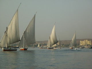 Fototapeta premium Faluka on the Nile 