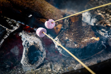 Two Marshmellows Slowly Roast