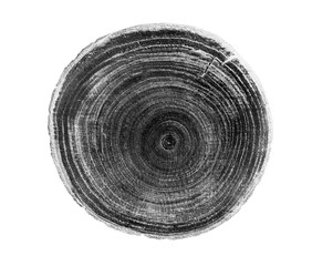 Black and white wood texture stamp art. Detailed tree ring design. Rough organic tree rings end grain.