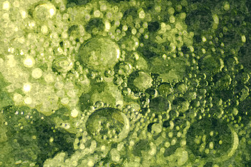 abstract background of oil paints in green colors from art photo bubbles