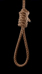 Capital punishment, suicide attempt and death penalty by hanging concept with rope tied into a noose isolated on black background with clipping path cutout