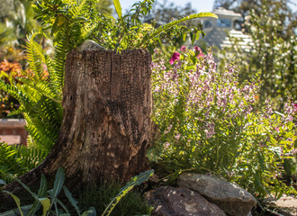 Park in the city of Orlando