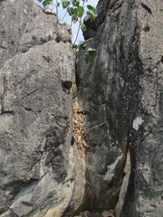 Megaliths stones and rocks, shapes, slits, circles