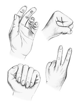 Pencil drawing of different hand arrangement options.