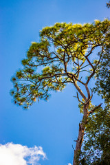 Park in the city of Orlando
