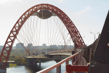 Russia, Moscow. Picturesque bridge - arch, steel cable-stayed bridge across the Moscow river