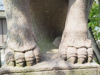 Obraz premium 神社境内にある狛犬の足
