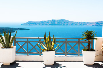 Beautiful plants by the fence, with a sea and a volcano on the background. Santorini vibes