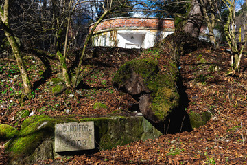 Fototapete bei efototapeten.de bestellen   