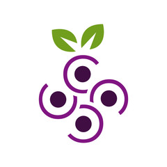 green leaf with grapes fruit logo template vector icon illustration design
