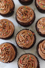 Chocolate cupcakes with sprinkles top view