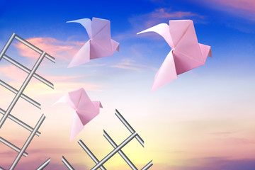 Three paper dove escaping from the cage. Freedom Concept.