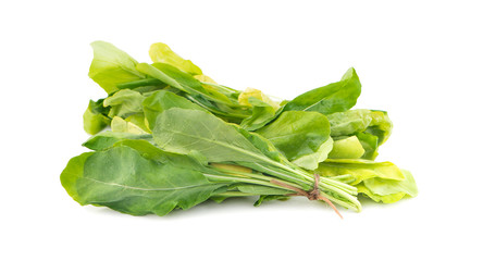 Chinese kale vegetable an isolated on white background.
