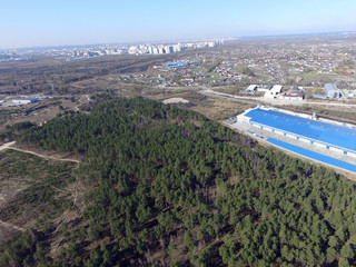 Pine forest (drone aerial image). Near Kiev,Ukraine