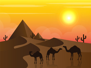 camel, desert, sunset