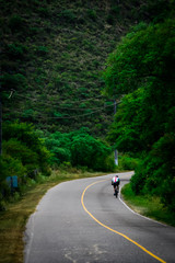 road in the forest route